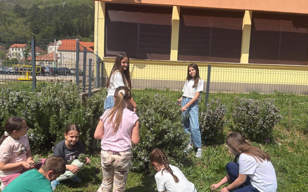 Proljetni radovi u školskom vrtu