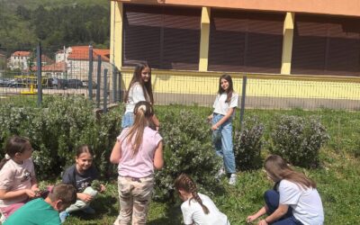 Proljetni radovi u školskom vrtu