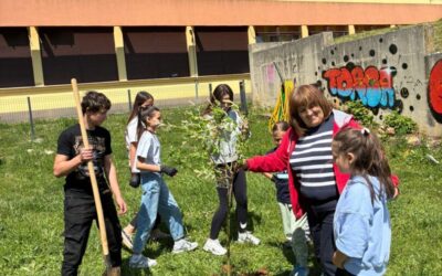 Sadnice darovao Crveni križ Vrlika